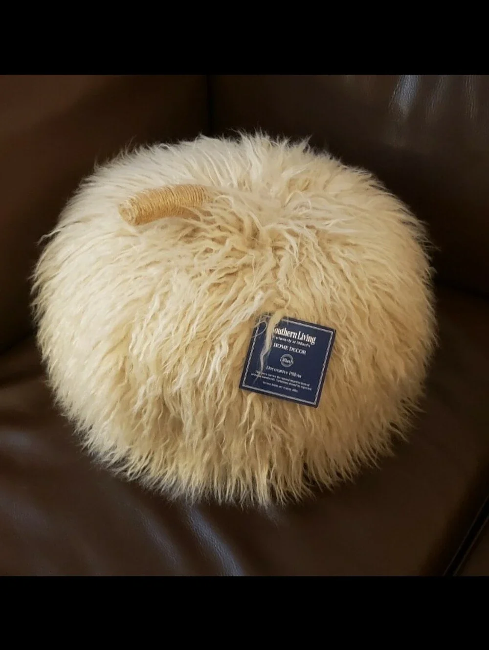 Southern Living Fall Pumpkin PillowDecorative Pillow